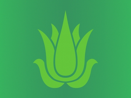 Nature’s Beauty aloe vera range icon